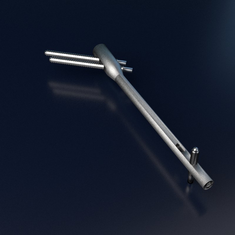 A femoral nail with two neck screws